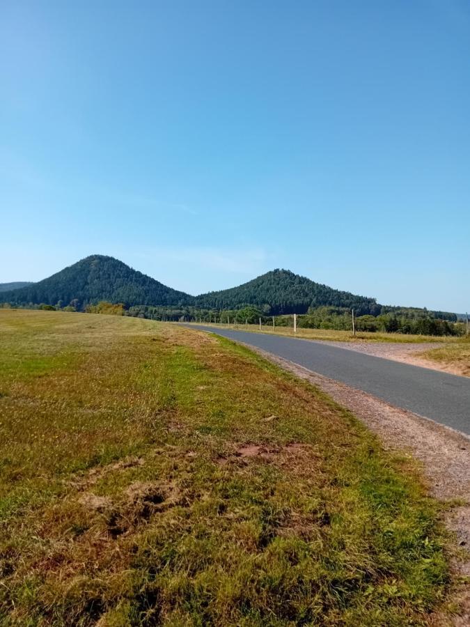 La Bienvenue Lägenhet Saint-Michel-sur-Meurthe Exteriör bild